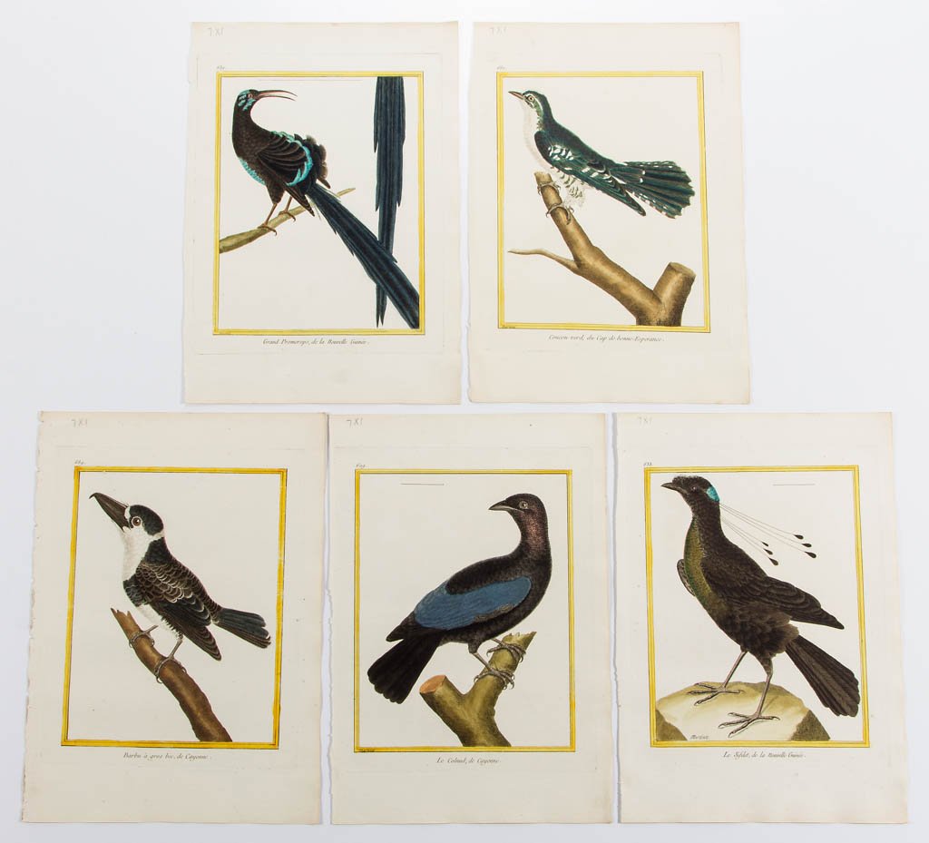 FRANCOIS NICOLAS MARTINET (FRENCH, 1725-1804) (1 of 1)