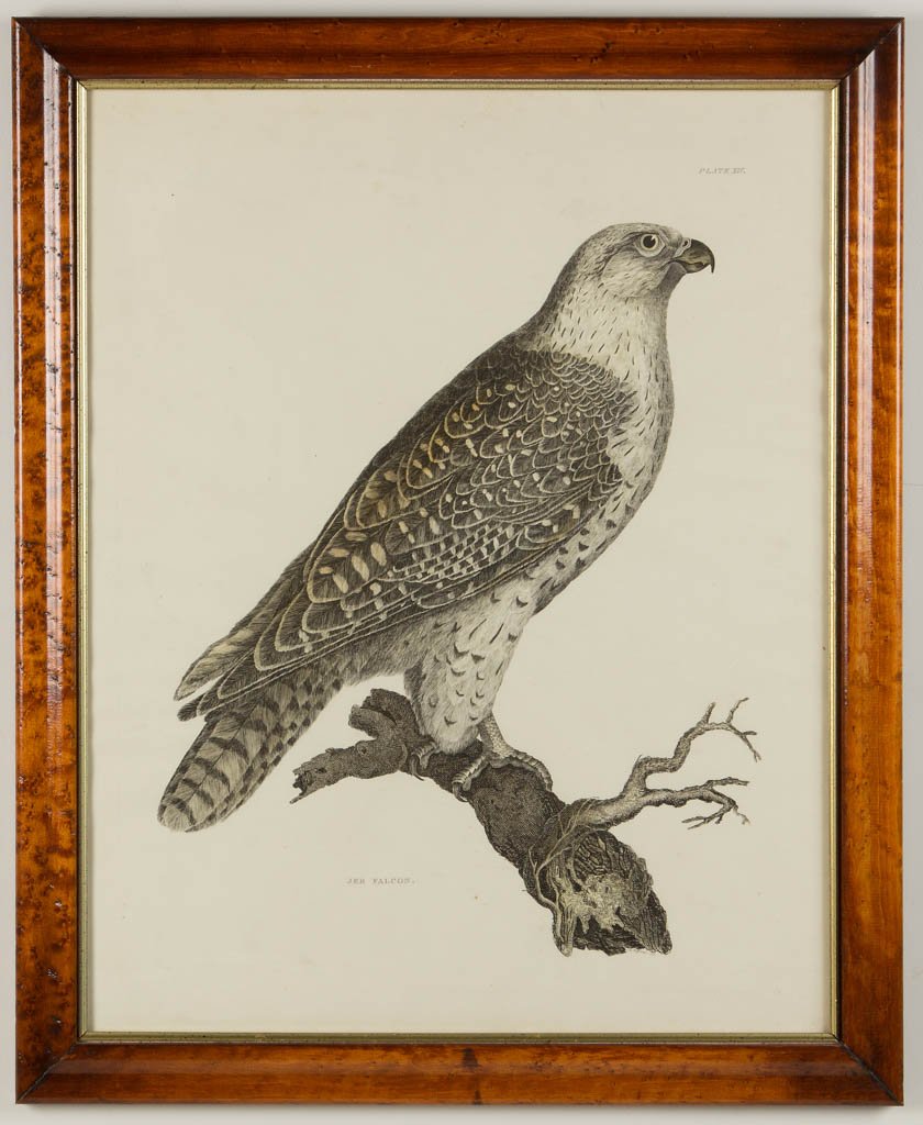 ROBERT MITFORD (BRITISH, 1781-1870), AFTER PRIDEAUX (1 of 1)