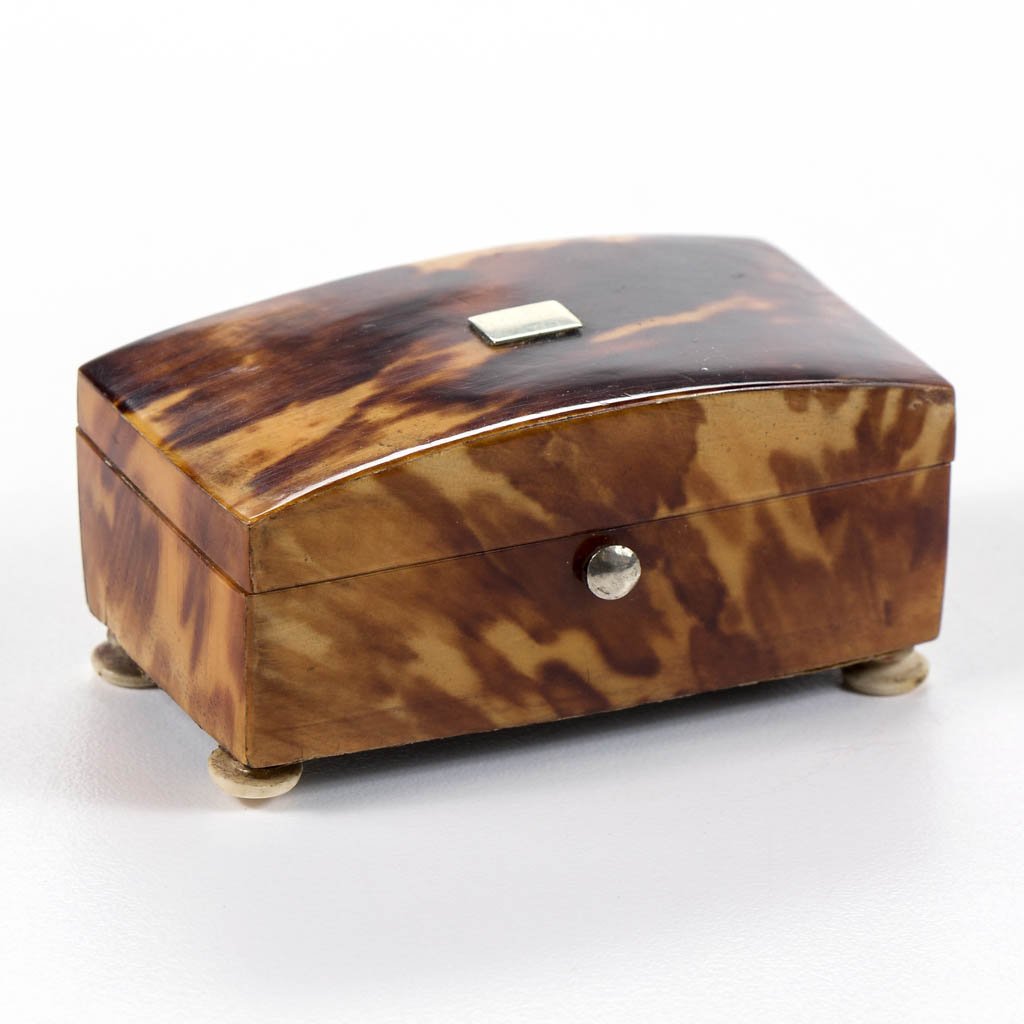 TORTOISE SHELL SEWING NEEDLE CASE (1 of 1)