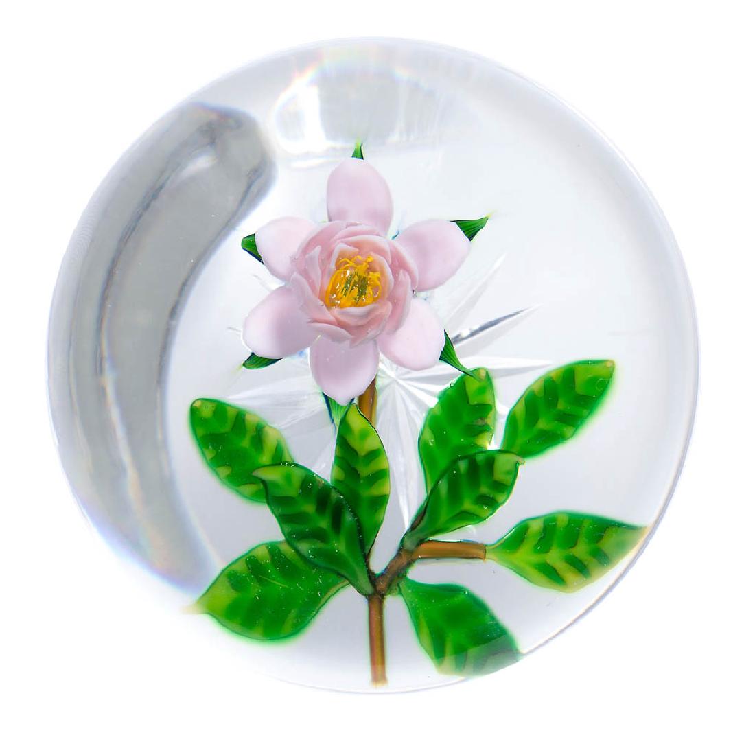 DEBBIE TARSITANO STUDIO ART GLASS LAMPWORK PAPERWEIGHT (1 of 1)