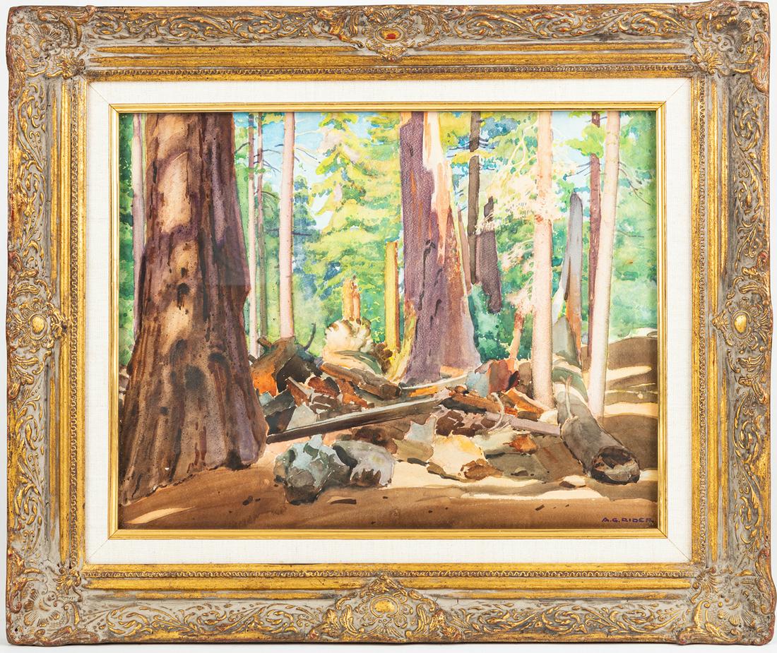 A.G. Rider: Acclaimed Mid-Century California: A.G. Rider: Acclaimed Mid-Century California Impressionist. California Redwoods. (1886-1975) Arthur Grover Rider was born in Chicago and studied at the Art Institute Rider first started in scenic desi
