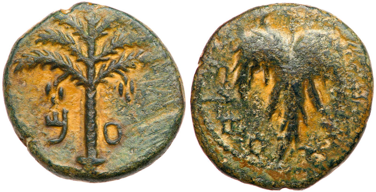 Judaea, Bar Kokhba Revolt. Ã† Medium Bronze (9.21 g), (1 of 1)