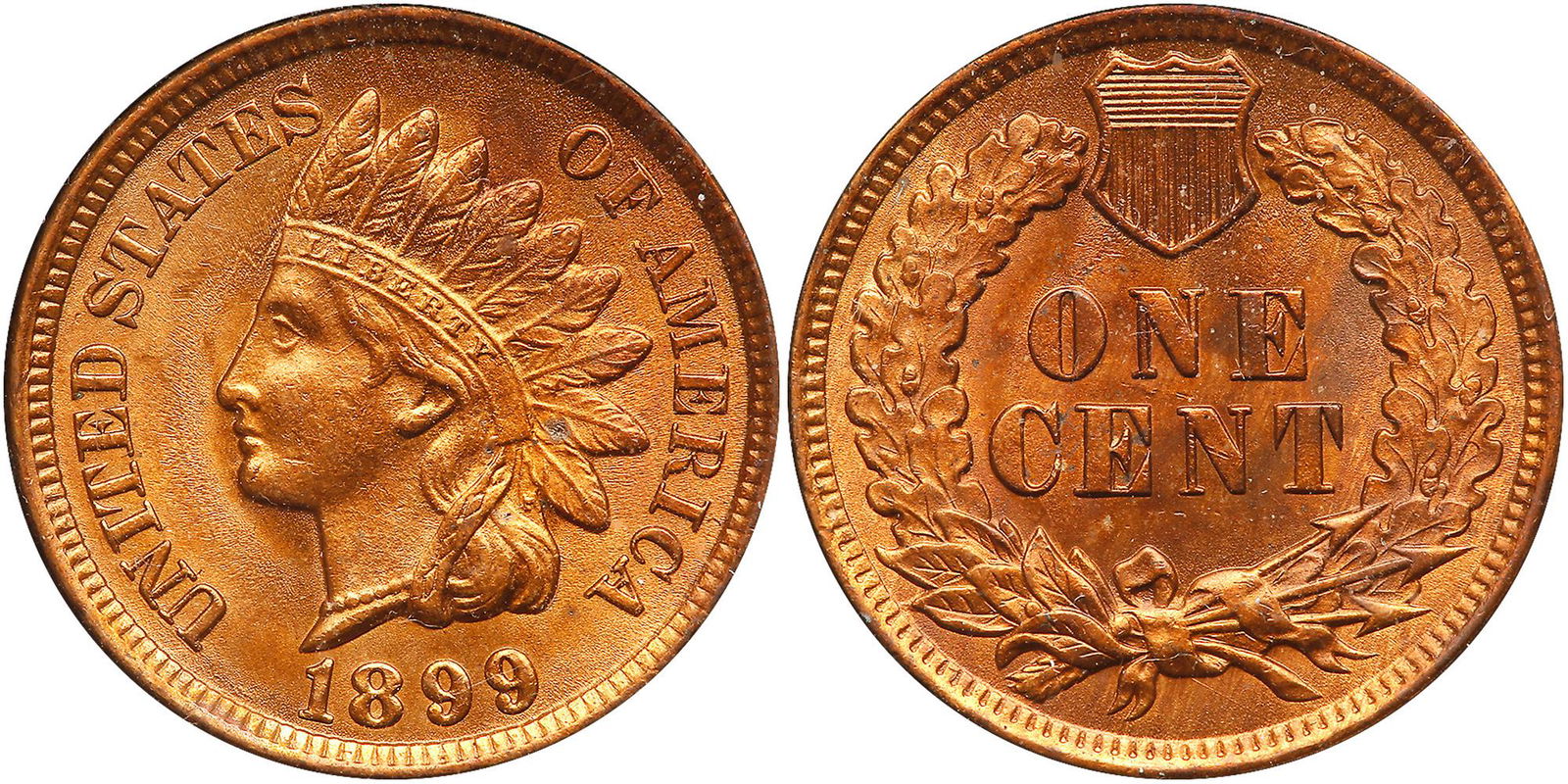 1899 Indian Head Cent (1 of 3)