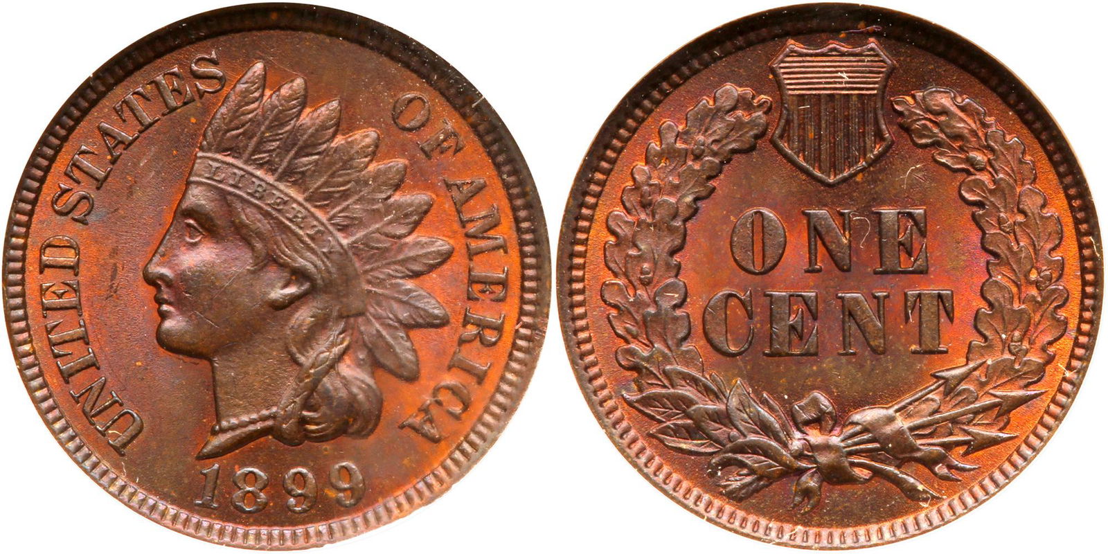 1899 Indian Head Cent (1 of 3)