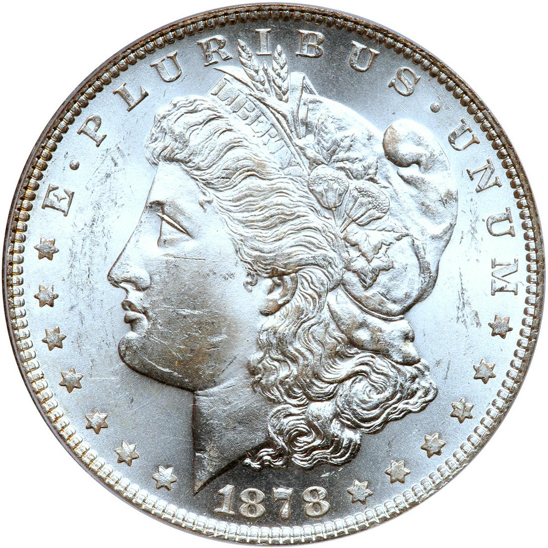 1878 Morgan Dollar. 7 tail feathers, reverse of 1879 (1 of 2)