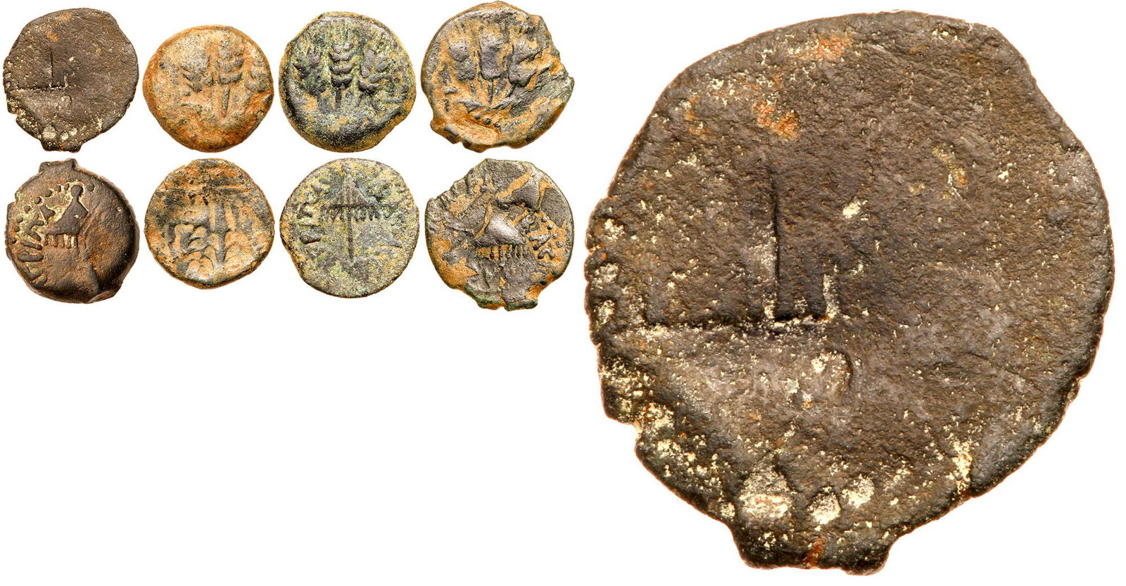 Judea. Herodian Dynasty. Agrippa I, 37-44 CE. Lot of 4: Judea. Herodian Dynasty. Agrippa I, 37-44 CE. Lot of 4 Prutah Coins. Consists of: Hendin 1244; TJC 120. Brockage error incuse of umbrella on reverse another brockage error with incuse of barley ears. 