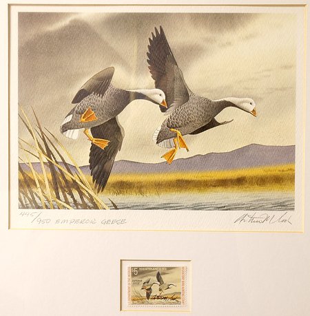 1972, $5, Federal Duck Stamp Print, "Emperor Geese: 1972, $5, Federal Duck Stamp Print, "Emperor Geese" by Arthur M. Cook (6.5x9") This First Edition limited edition artist-signed print was issued in an edition of 950 prints of 