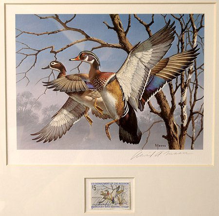1974, $5, Federal Duck Stamp Print "Wood Ducks" by: 1974, $5, Federal Duck Stamp Print "Wood Ducks" by David A. Maas (6.5x9") This First Edition limited edition artist-signed print was issued in an unnumbered edition of unknown