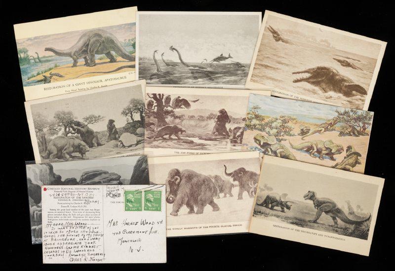Collection of 35+ Field Museum/Chicago Natural History Museum Postcards of 1930s of Dinosaurs (1 of 1)