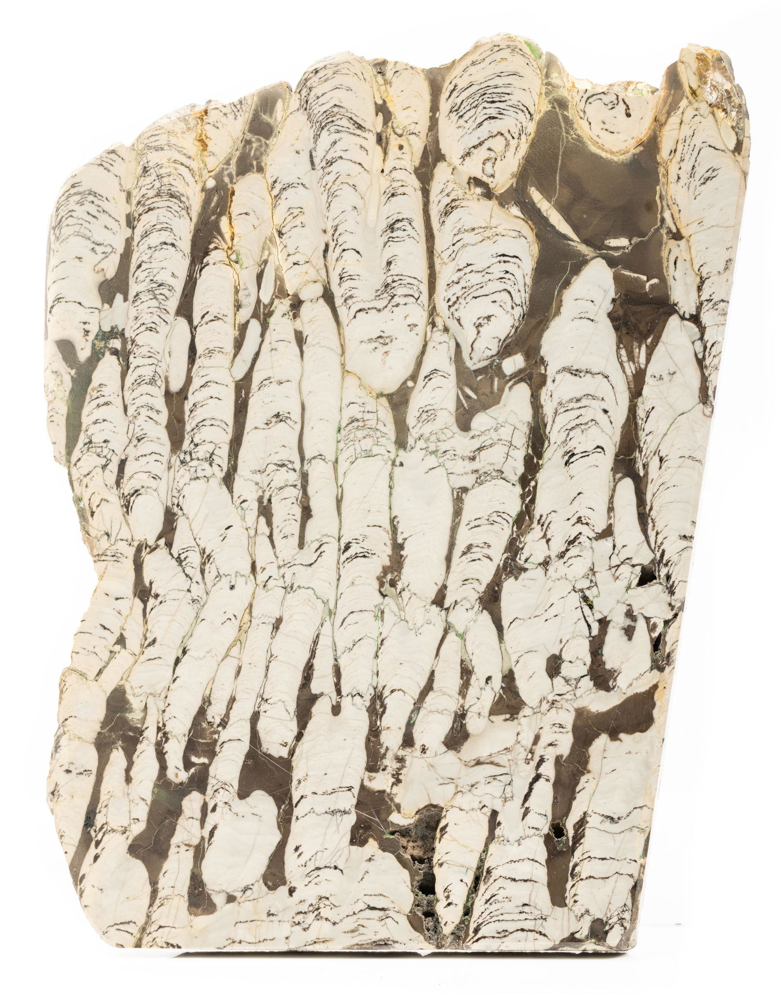 One Billion Year Old Stromatolite from Russia: One Billion Year Old Stromatolite from Russia. Stromatolites are the fossils of laminated rock formed from layer by layer buildup from microbial mats of cyanobacteria over thousands of years. Stromato