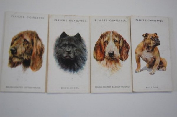 John Player "Dogs" 2 Sets tobacco cards: 1929 "Dogs" from paintings by Arthur Wardle- Full Set of 50, condition G- this set is comprised of the different breeds' faces and heads. Second set 1931, "Dogs" from paintings by Arthur Wardle of var