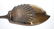 54A: Tiffany & Co. Antique Sterling Silver Fish Server - 4