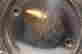 item-13034135=3