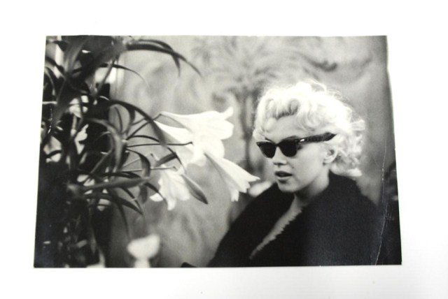 Marilyn Monroe Photograph by Ed Feingersh: Photograh by Ed Feingersh of Marilyn Monroe in dark sunglasses. Photographed in 1955 during a week long session in New York City as Monroe was attempting to get out of her 20th Century Fox contract. 8