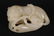 Chinese Qing Dynasty White Jade Figure Group,