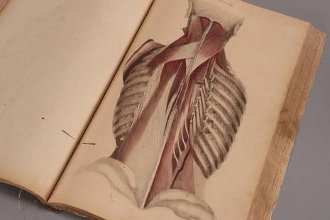 19th Century Atlas of Anatomia Engraved by: William Home Lizars (1788-1859), talented Edinburgh engraver and publisher for Daniel Lizars, for John Lizars Scottish surgeon, anatomist and medical author, comprised of hand coloured engravings on t