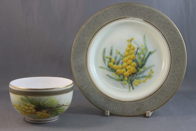Royal Worcester Wildflower Cup and Saucer,: painted with wattle with embossed patterned boarder in olive, signed Bradshaw, (2)