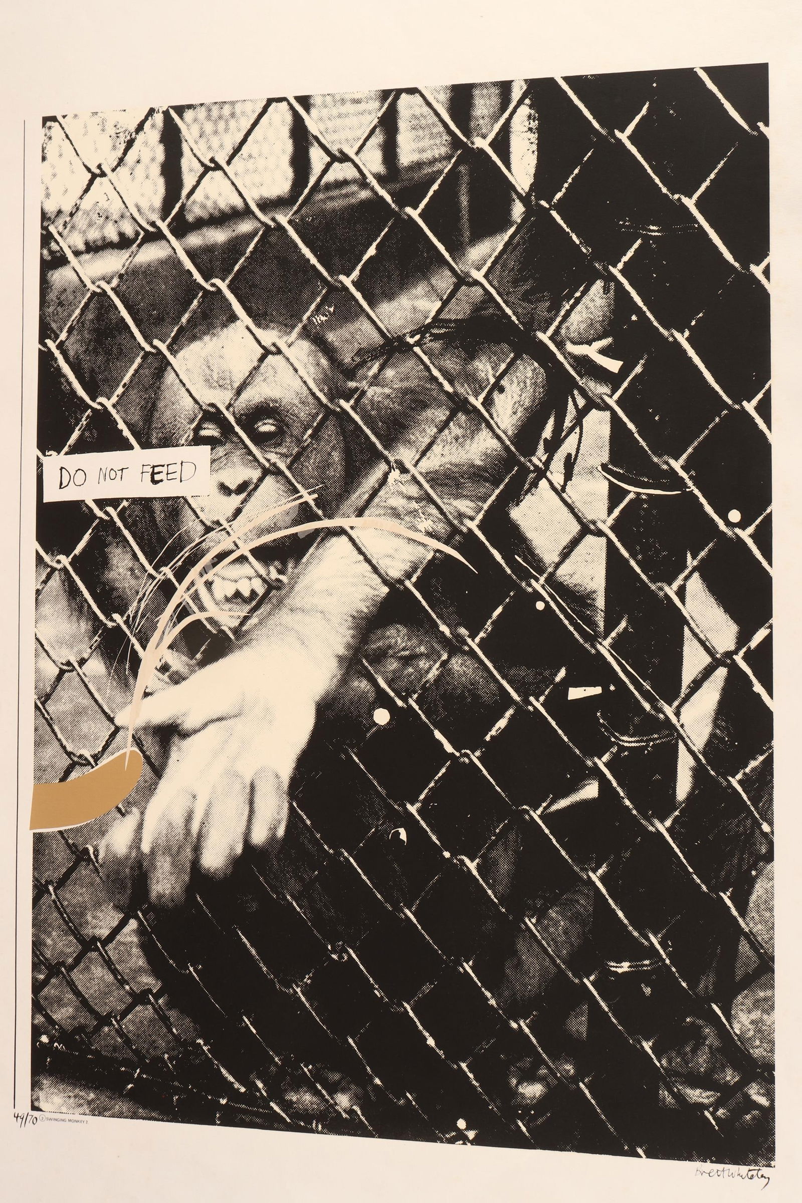 Brett Whiteley (1939-92),: Swinging Monkey 2 (Regents Park Zoo Series) screenprint 49/70 numbered, titled and signed below image, together with original gallery certificate 76cm x 55cm