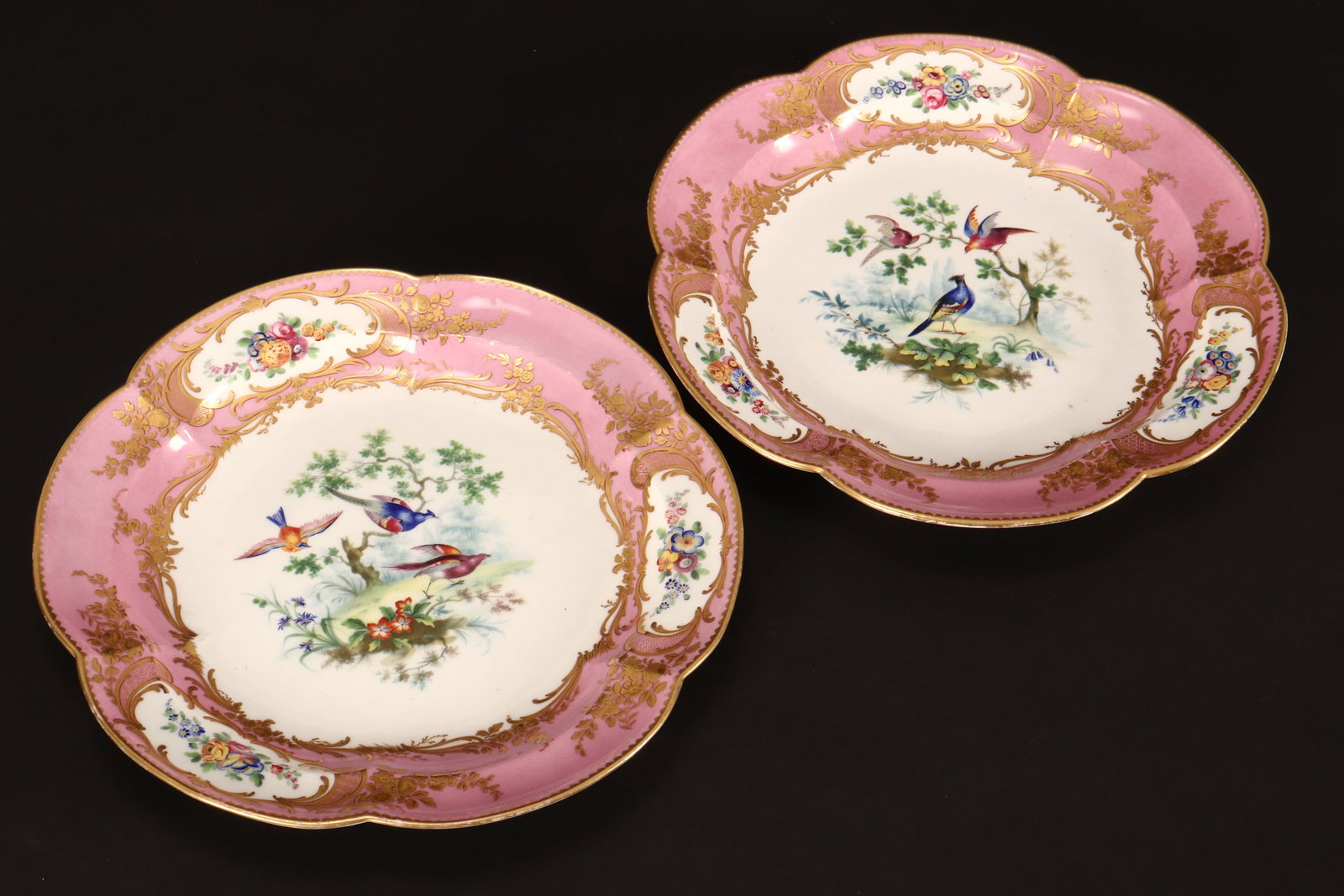 Pair of Large 18th Century Sevres Porcelain Cabinet Plates, (1 of 5)