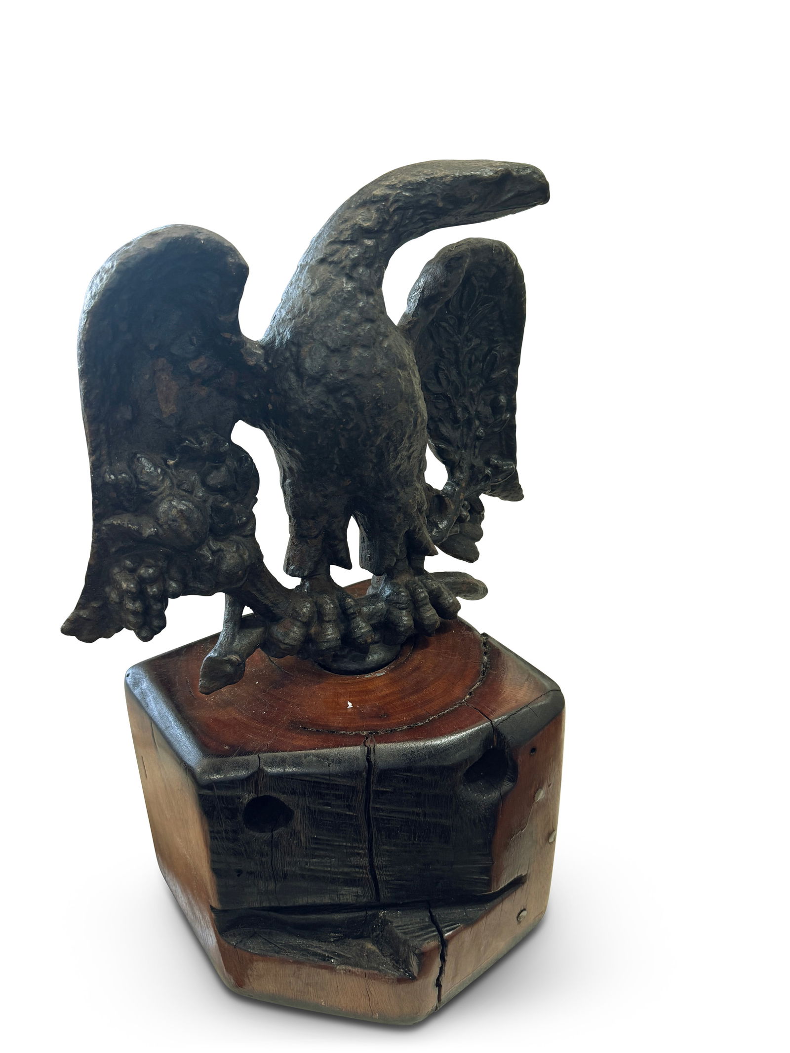Cast Iron Eagle Figure on Timber Stand,: depicting a 'snake head' form eagle, with outstretched wings, clutching a cornucopia in one talon and an olive branch in the other, the figure painted in black, above a fitted organic form timber base
