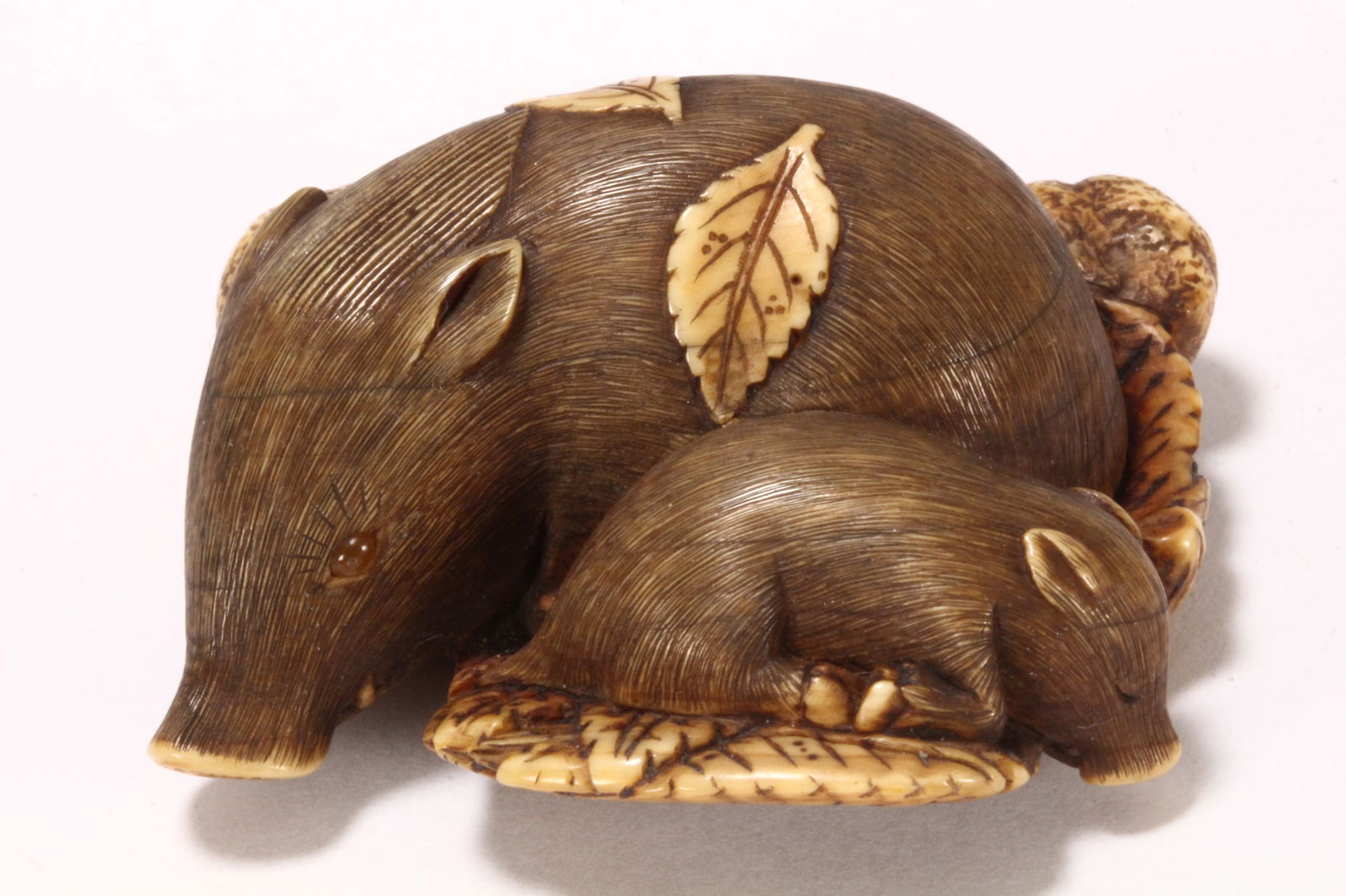 Fine Japanese Edo Period Carved Netsuke,: Kyoto School, depicting a boar and piglet sleeping peacefully on a bed of autumn leaves, beside two stones with one housing the larger hole of the himotoshi to underside, with delicate incised and sta