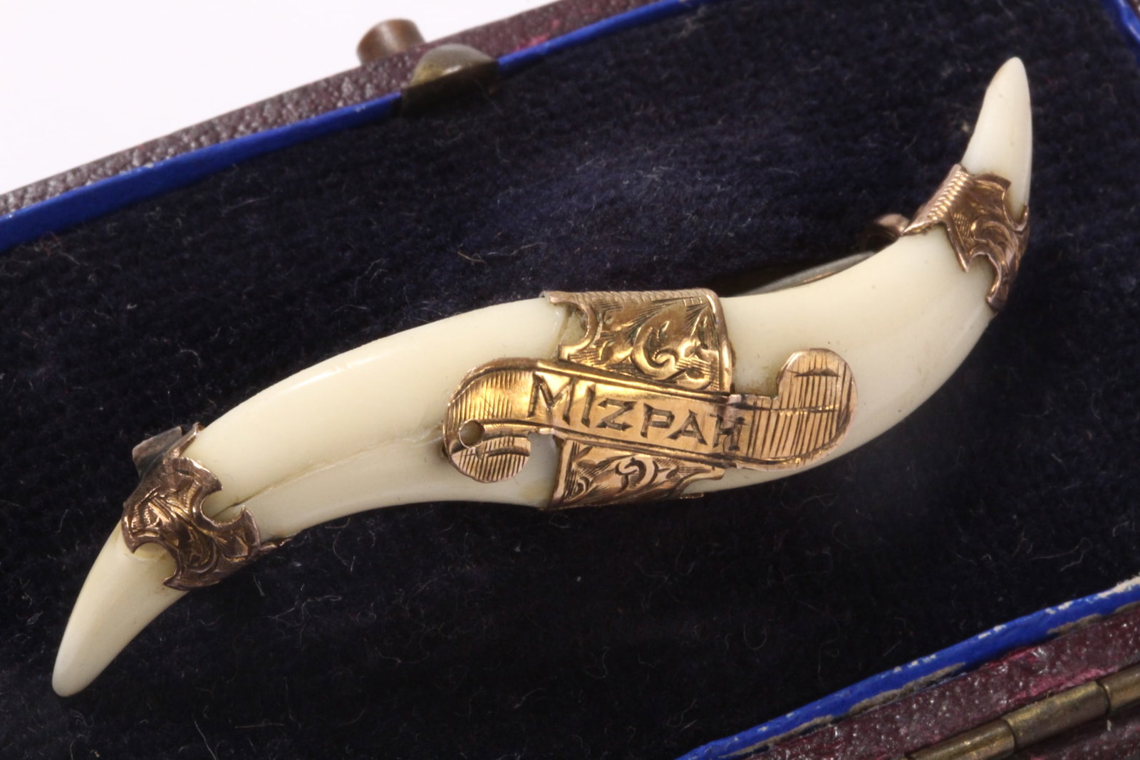 Victorian 9ct Gold Leopard Tooth Mizpah Brooch,: stamped 9ct, G.E.W, in the form of two conjoined teeth, bound by a 9ct plaque reading 'Mizpah', with gold panels to tooth terminals suspending the silvered metal brooch pin, total weight 3.6g, length 