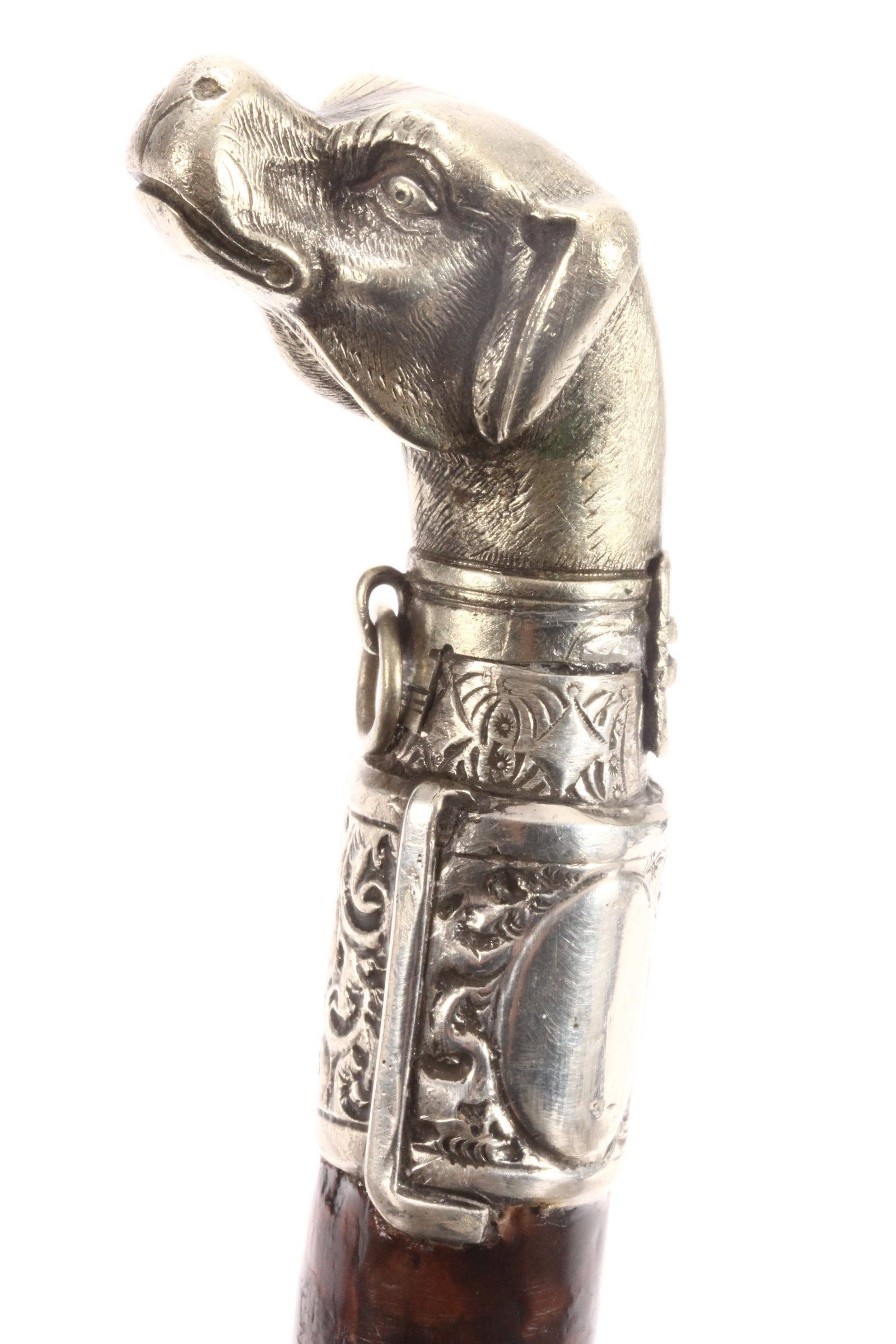 Novelty Walking Stick,: set with a cast dogs head handle, above a lower sterling silver mount, above a tapering support, length 95cm