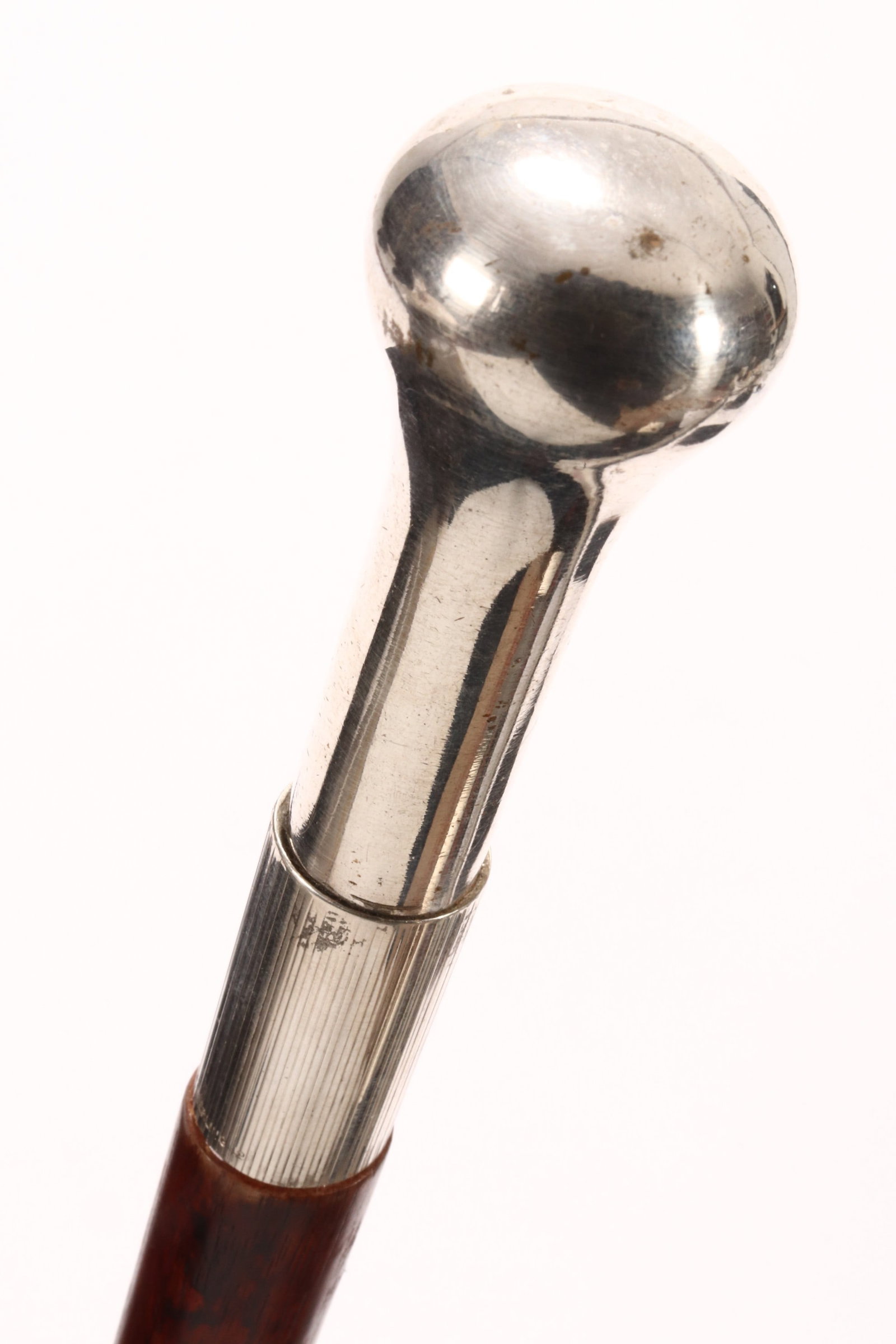 Slender Walking Stick, (1 of 3)