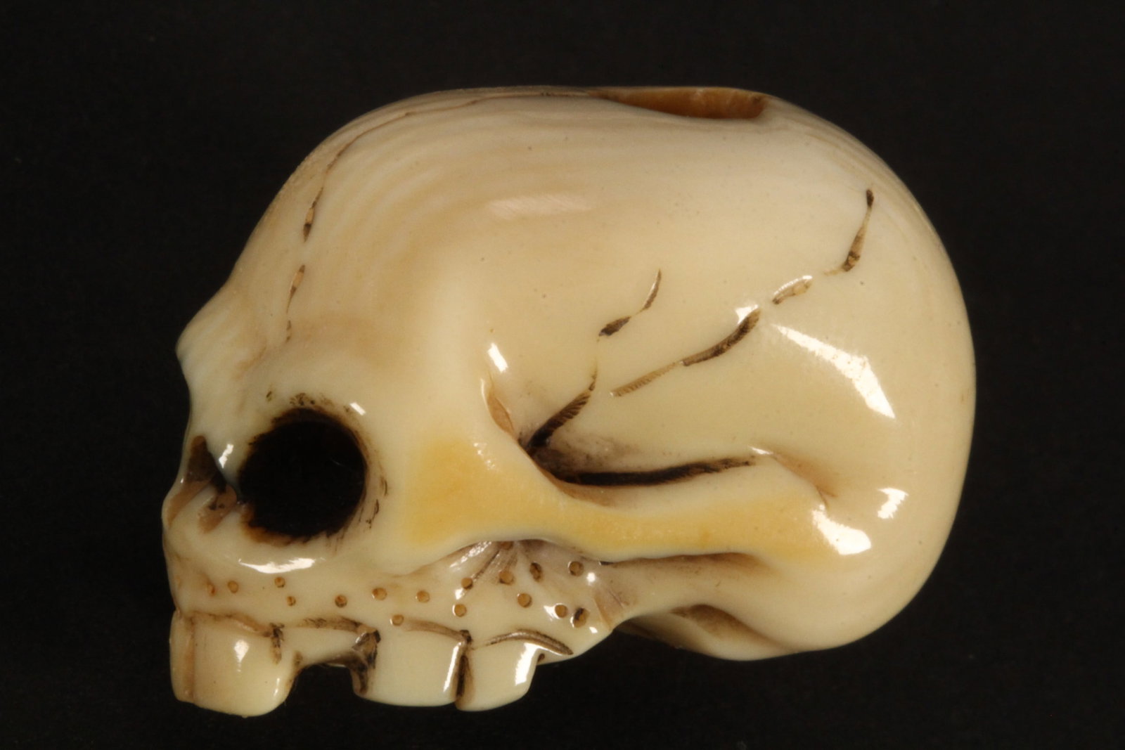 Japanese Carved Netsuke,: in the form of an elongated skull, with incised and stained detail, incised signature to reverse, length 3.3cm. Please note this item can only be shipped WITHIN Australia.