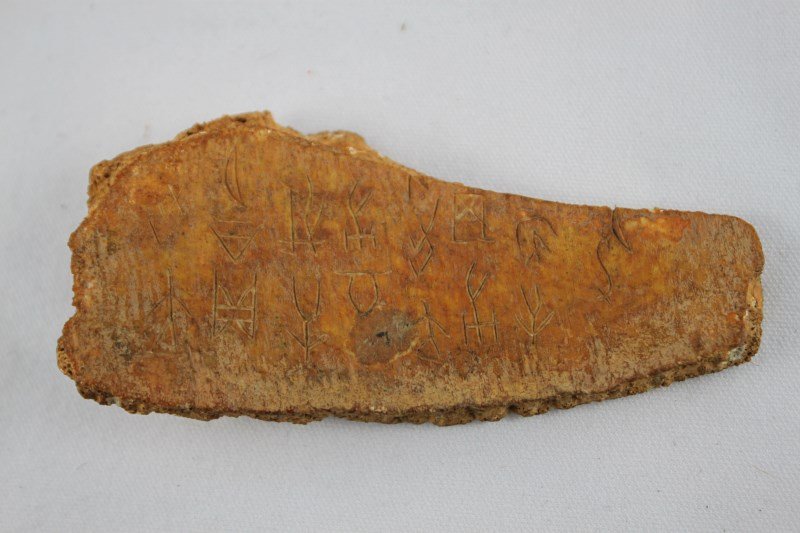 Fossilized Bone Plaque,: incised with archaic script, l 10.5cm Purchased: 1928-42 Shanghai, then Collection of Roy Isaac Fernandez, Shanghai Municipal Police Force, then family