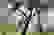 item-56384520=5