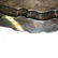 Large Ornate Silver Plate Oval Tray - 2