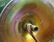 Durand Green Iridescent Lamp - 2