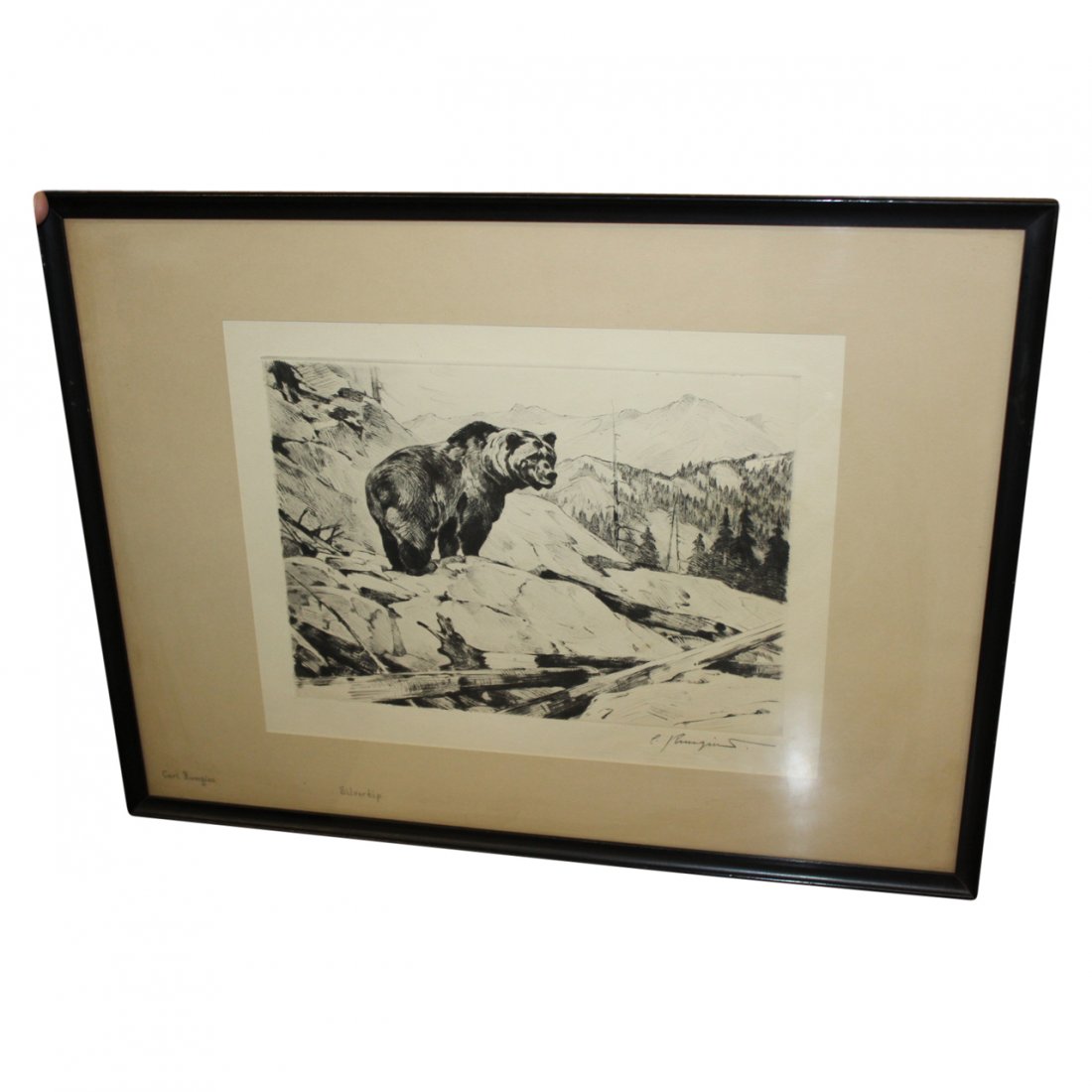 Carl Clemens Moritz Rungius (1869 - 1959): Carl Clemens Moritz Rungius (1869 - 1959) "Silvertip" original drypoint etching Framed 20 x 15 Sight 11 x 8 signed in pencilCarl Rungius is known for wildlife and landscape painting, illustration, & e