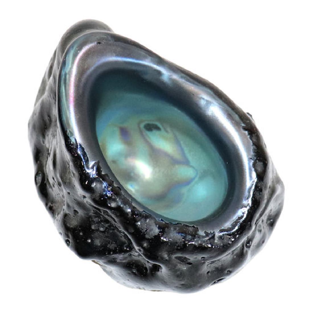 Josh Simpson Art Glass Shell Paperweight: Josh Simpson art glass shell paperweight signed measuring 5 inches by 5 inches in Excellent condition.