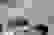 item-70451319=4