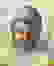 item-72559365=4