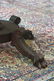 OVAL EMPIRE CLAW FOOT CENTER TABLE - 3