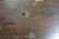 ROSEWOOD LARGE MIRROR CREDENZA - 11