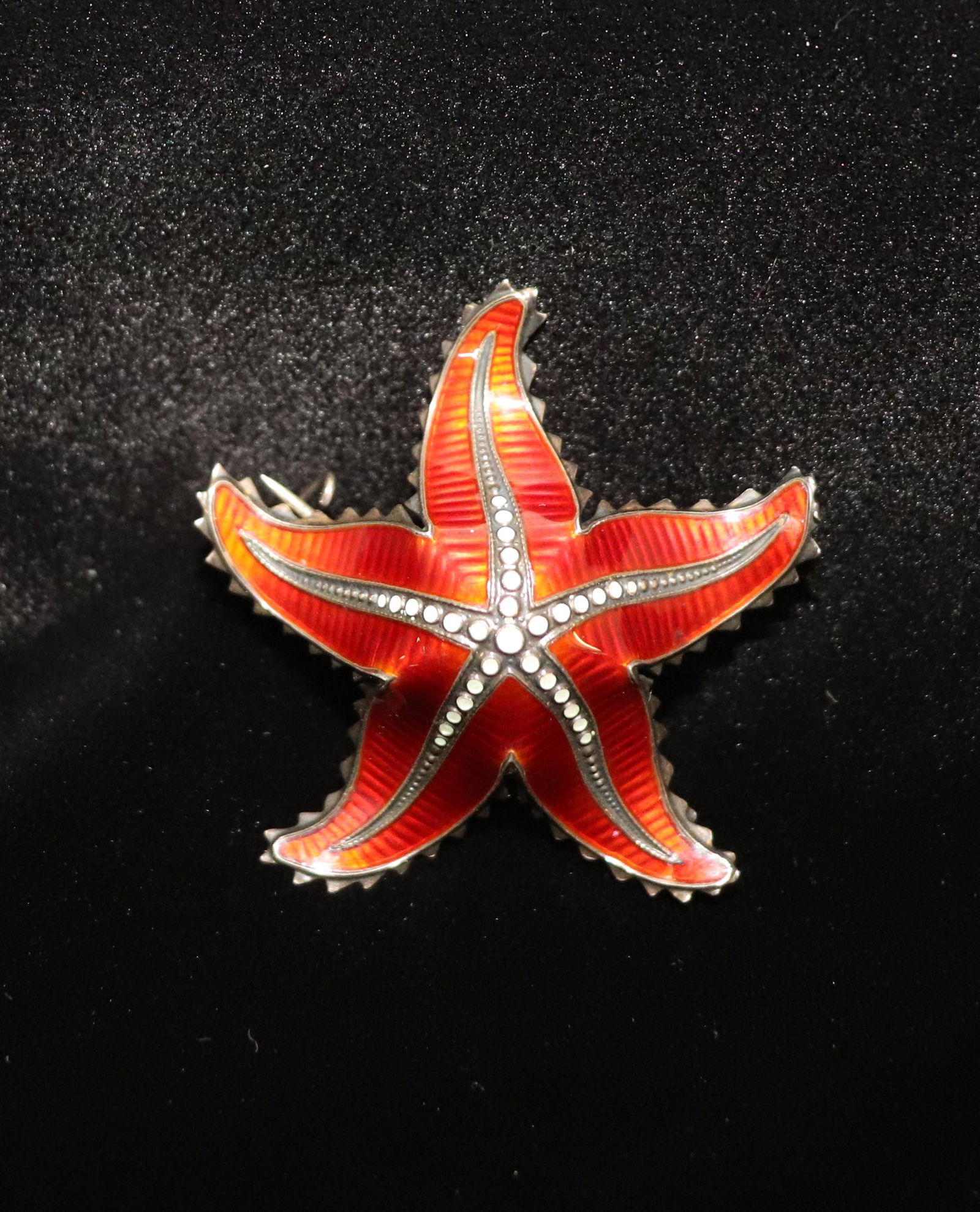 Sterling Silver Enameled Star Fish Pin (1 of 4)