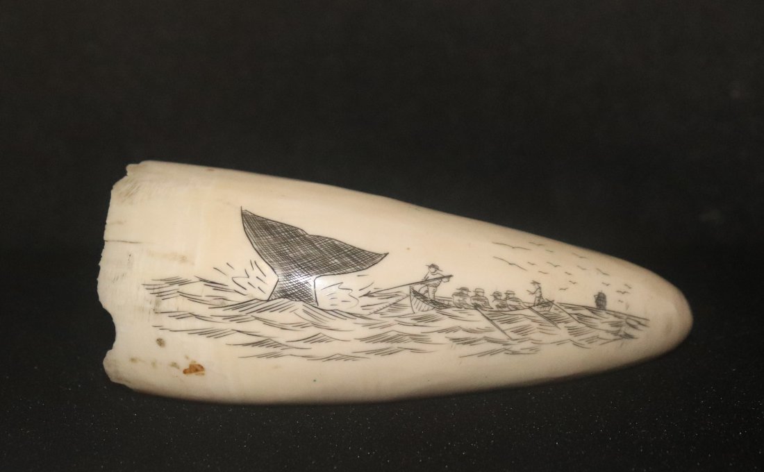 Scrimshaw: Scrimshaw on Whales tooth Dimensions:4 inches long x 2 inches at opening Please refer to photos for more details. Click on photo and expand so see more detail condition CONDITION Please inspect each l