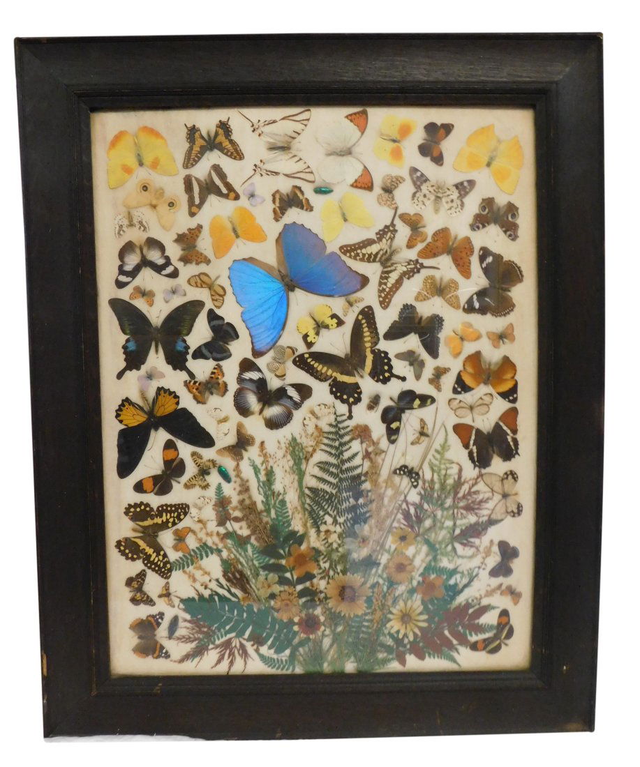 Vintage Butterfly  Bouquet. Framed Art (1 of 6)