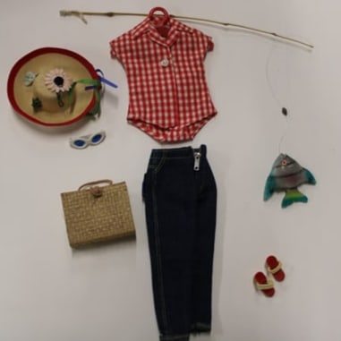 Barbie Collectibles: Description