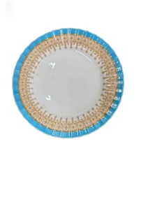 Royal Worchester W1960 Turquoise Set of 6