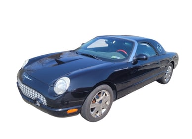 Car Automobile Convertible Food Thunderbird 2002