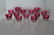 Cut to Clear Red Stemware, 13 pcs. - 2