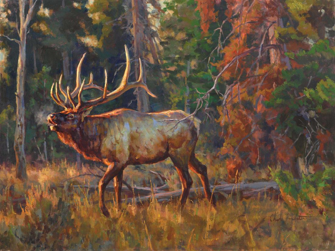 Way of the Warrior (1 of 1)