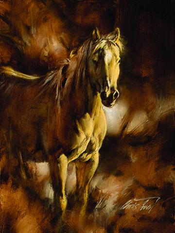 Chris Owen - "Freedom" (1 of 1)