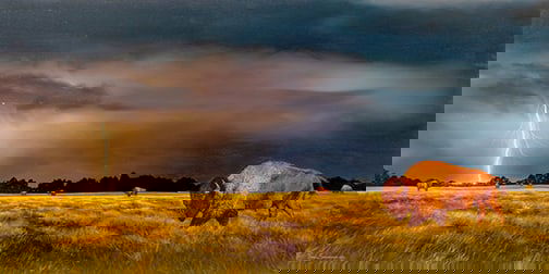 Daniel Schumacher - "Rolling Thunder": oil Click on Auction Details for buyer's premium info and other terms and conditions.