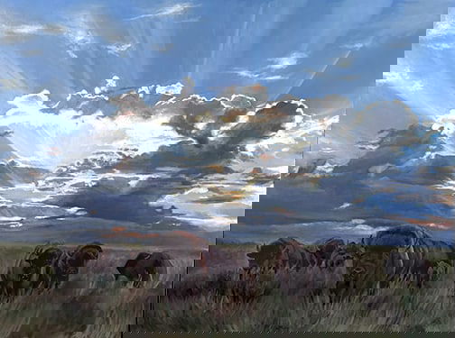 Summer Spitsbergen - "Roaming Bison": oil Click on Auction Details for buyer's premium info and other terms and conditions.